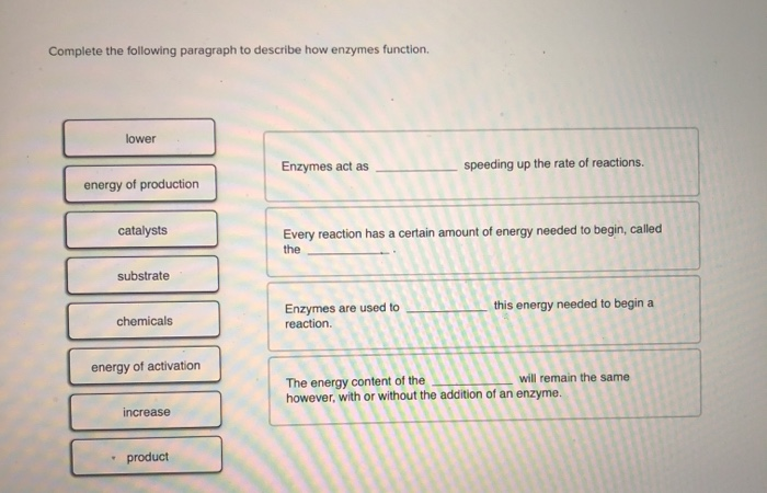 Complete The Following Paragraph To Describe How Enzymes Function