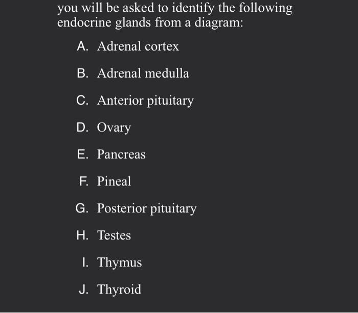 you will be asked to identify the following endocrine glands from a diagram:
A. Adrenal cortex
B. Adrenal medulla
C. Anterior