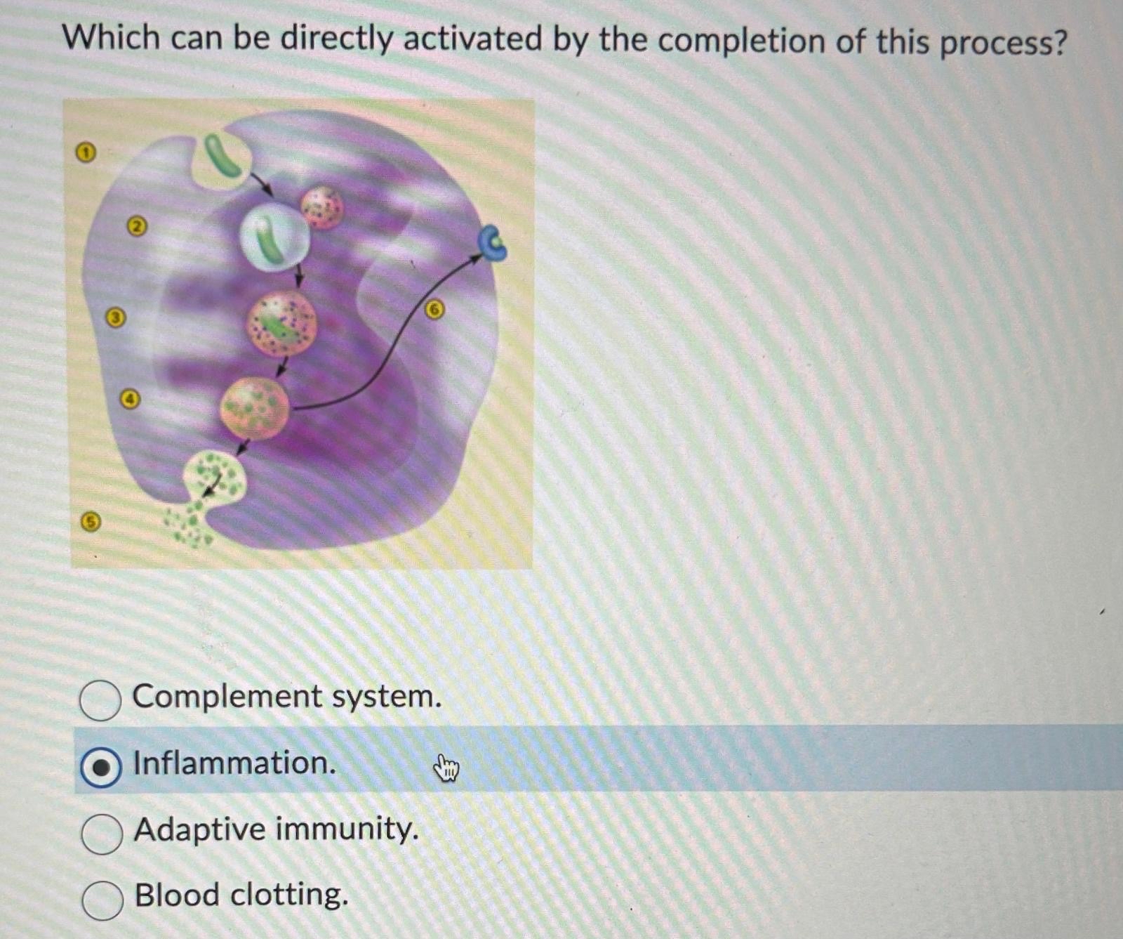 Solved Which can be directly activated by the completion of | Chegg.com