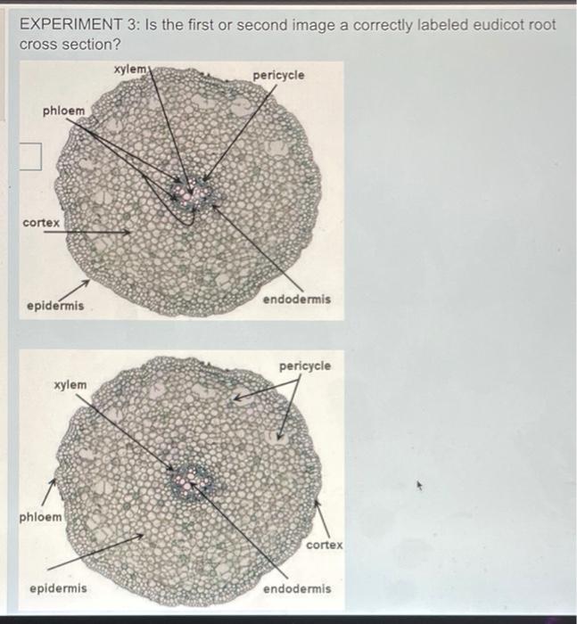 Solved EXPERIMENT 3 Is the first or second image a