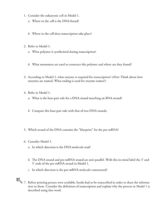 Solved Model 1 - Transcription Chromosome from a nondividing | Chegg.com