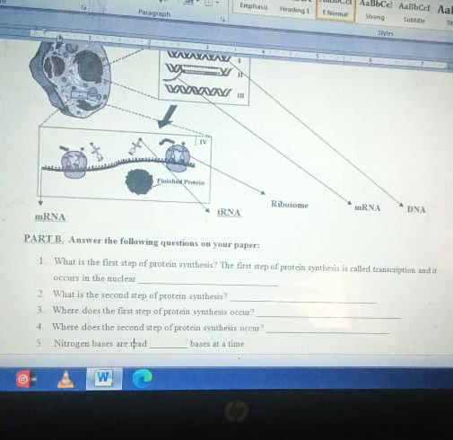 Solved PROTEIN SYNTHESIS WORKSHEET PART A. Read the | Chegg.com