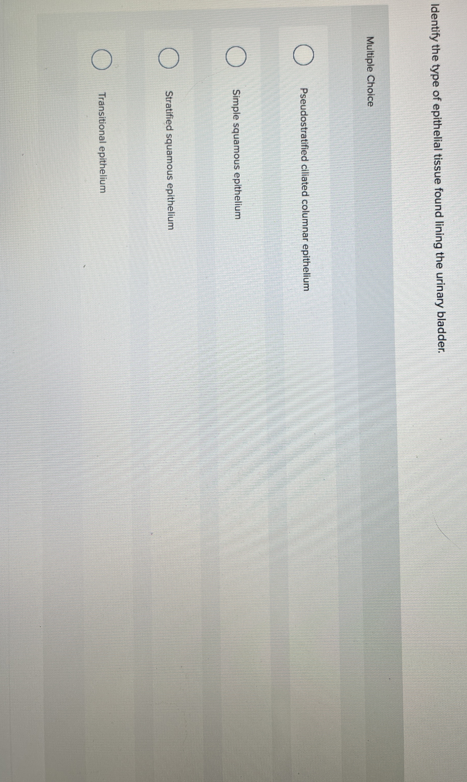 Solved Identify the type of epithelial tissue found lining