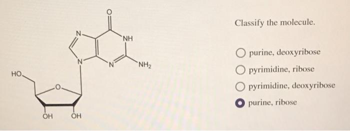 Solved Classify the molecule. pyrimidine, ribose | Chegg.com