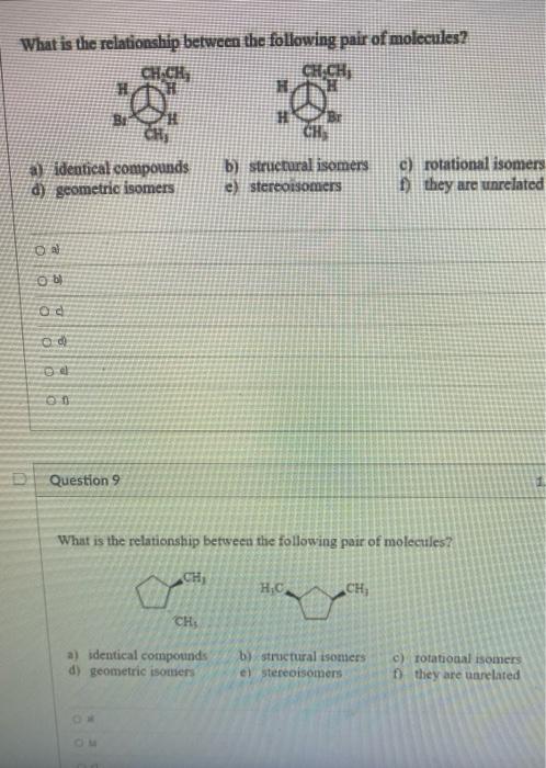 Solved What is the relationship between the following pair | Chegg.com