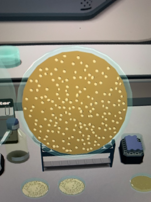 Solved ter SCORE 80 / 110 DAY 3 0822 PROGRESS 75 Which