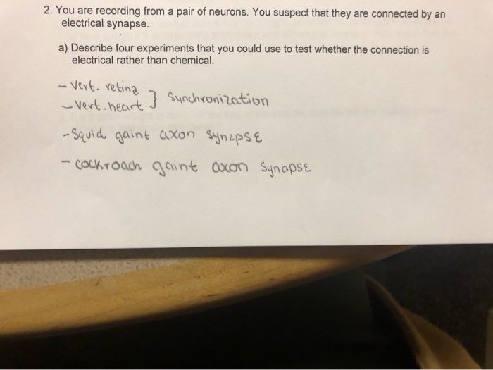 Solved 2. You are recording from a pair of neurons. You | Chegg.com