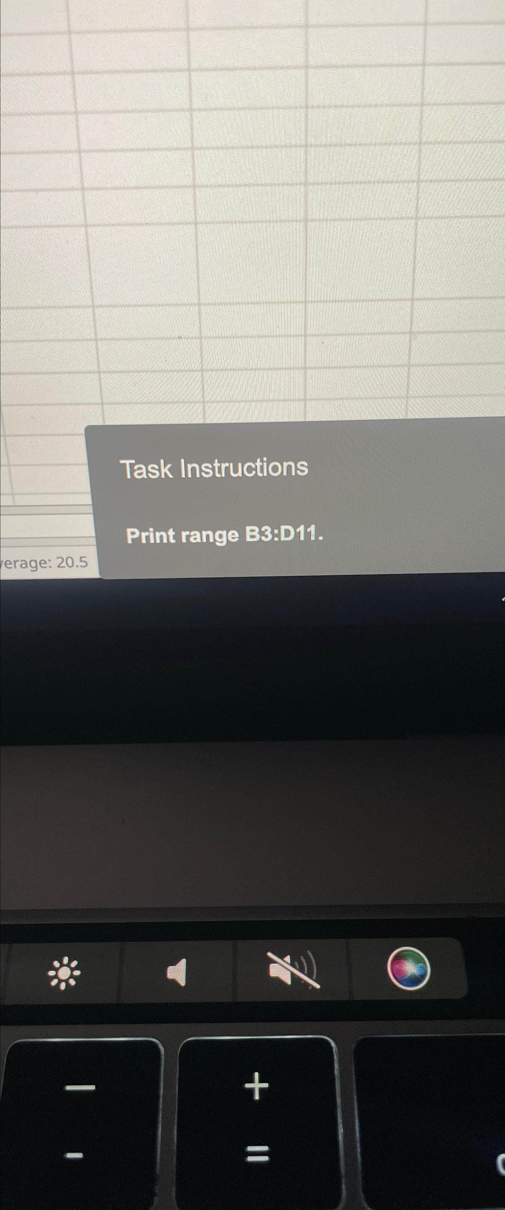 Solved Task InstructionsPrint range B3D11.erage 20.5