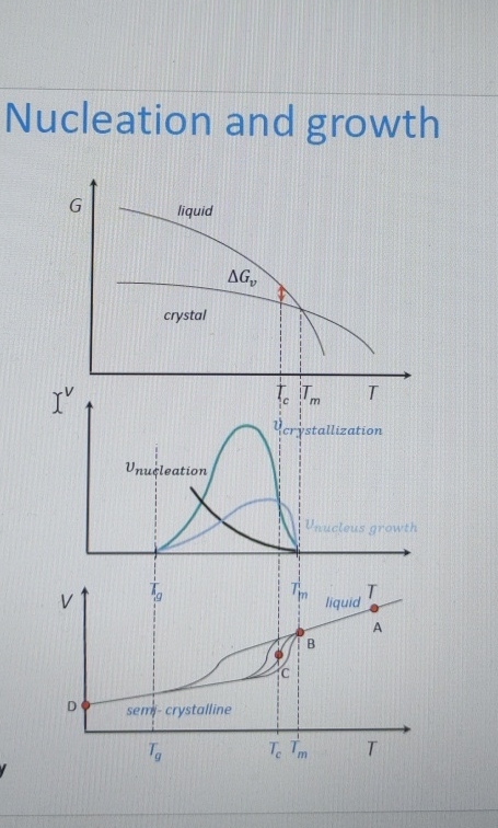 Solved Nucleation and growth- ﻿what is the explanation of | Chegg.com