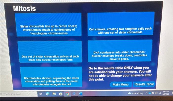 Solved Mitosis Sister chromatids line up in center of cell; | Chegg.com