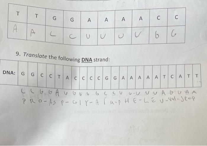 Solved 9 Translate the following DNA strand Chegg com