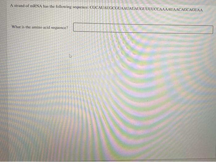 Solved A strand of mRNA has the following sequence: | Chegg.com
