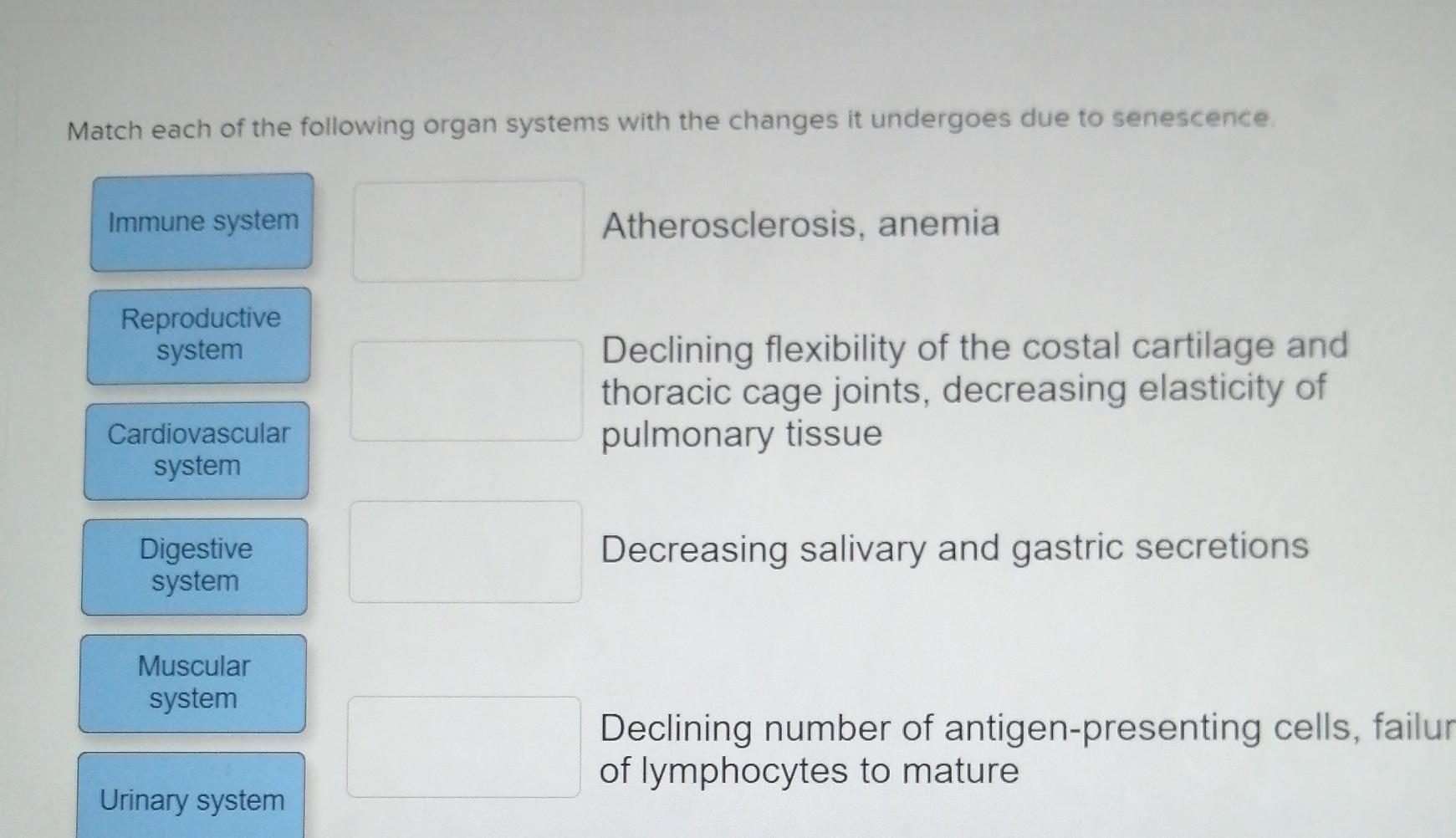 Match each of the following organ systems with the
