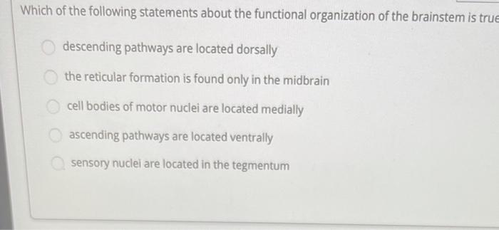 Solved Which of the following statements about the | Chegg.com