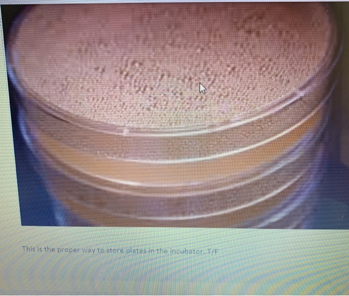 Solved This is the proper way to store plates in the