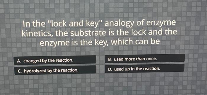 In the lock and key analogy of enzyme kinetics, the substrate is the lock and the enzyme is the key, which can be