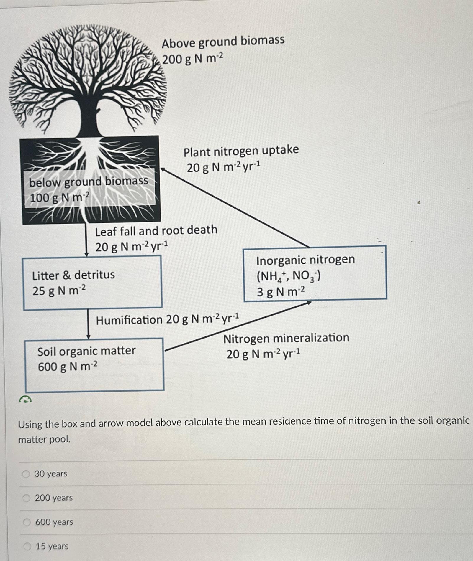 Solved Above ground biomassUsing the box and arrow model | Chegg.com