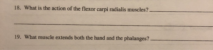 Solved 3 What is the attachment point on the limb of the Biology Diagrams