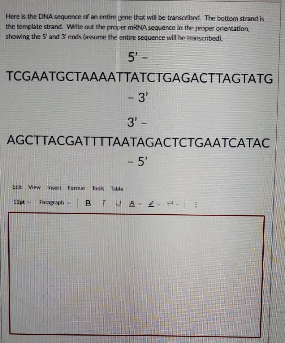 Solved Here is the DNA sequence of an entire gene that will | Chegg.com