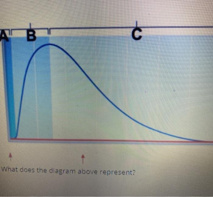 Solved C What does the diagram above represent? | Chegg.com