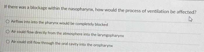 Solved If there was a blockage within the nasopharynx, how | Chegg.com