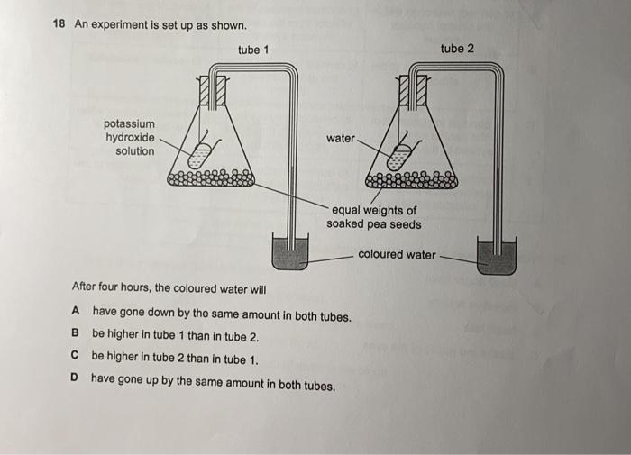Solved 18 An experiment is set up as shown. tube 1 tube 2 . | Chegg.com