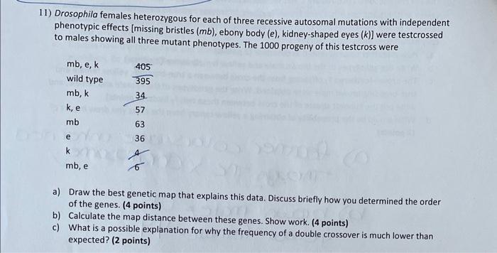 Solved 11) Drosophila females heterozygous for each of three | Chegg.com