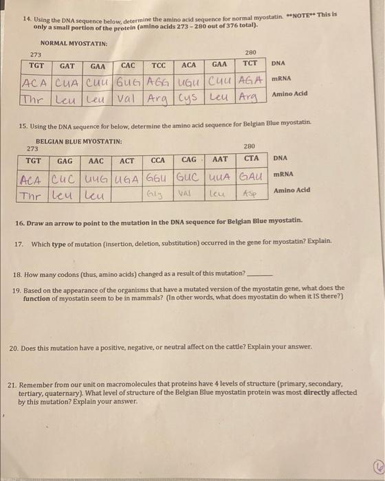 Solved 14. Using the DNA sequence below, determine the amino | Chegg.com