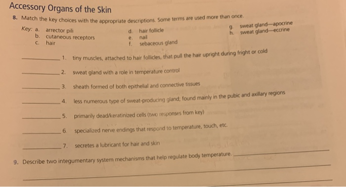 Solved Accessory Organs of the Skin 8. Match the key choices | Chegg.com
