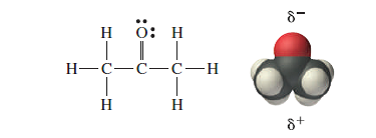 Ch4 ch3cl ch3oh hcoh hcooh. Строение молекулы ch3coch3. Ацетон (ch3coch3). Ацетон молекула. Ацетон i2.