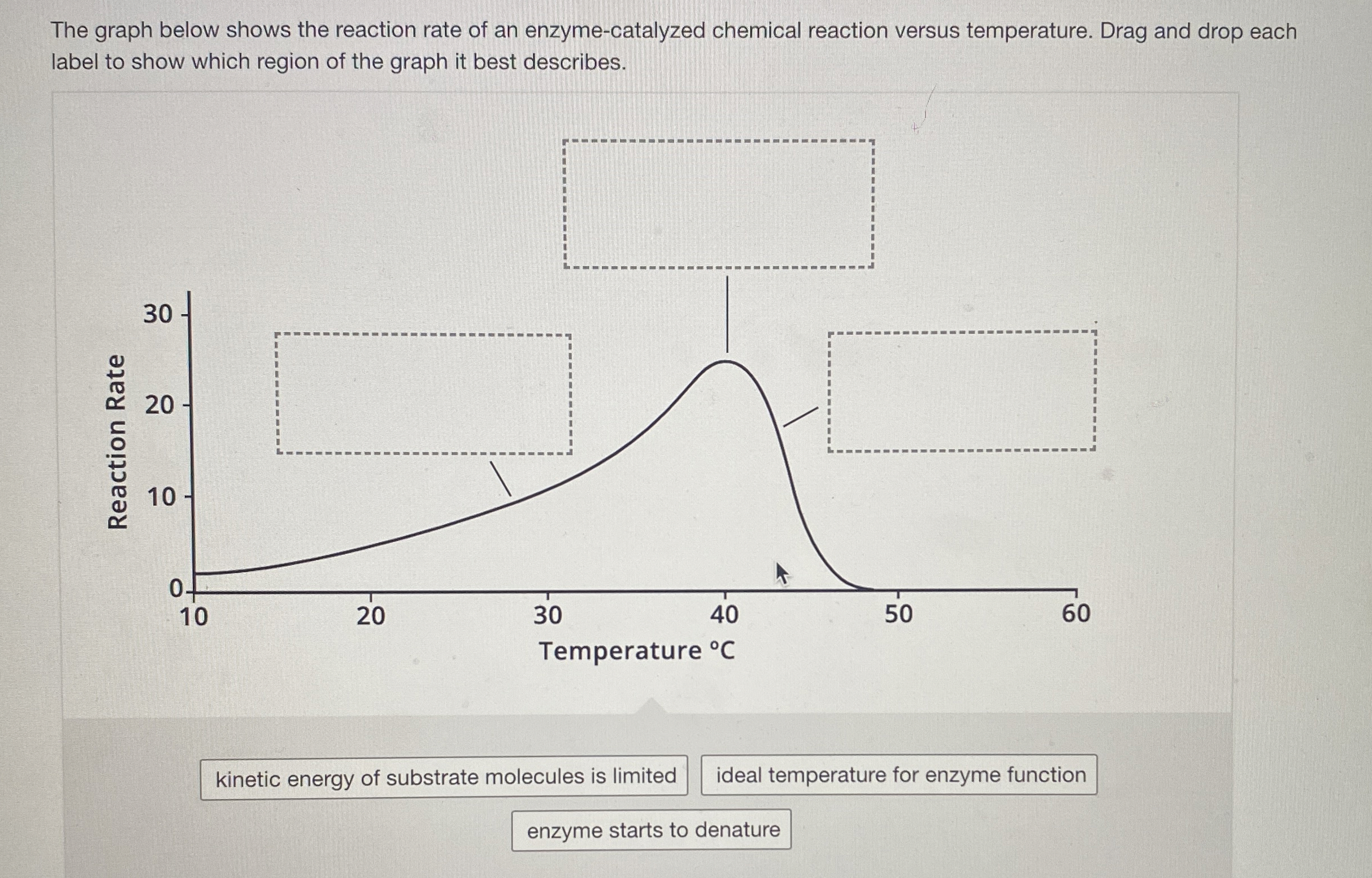 The graph below shows the reaction rate of an