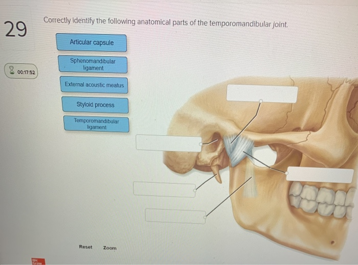 Solved Correctly identify the following anatomical parts of | Chegg.com