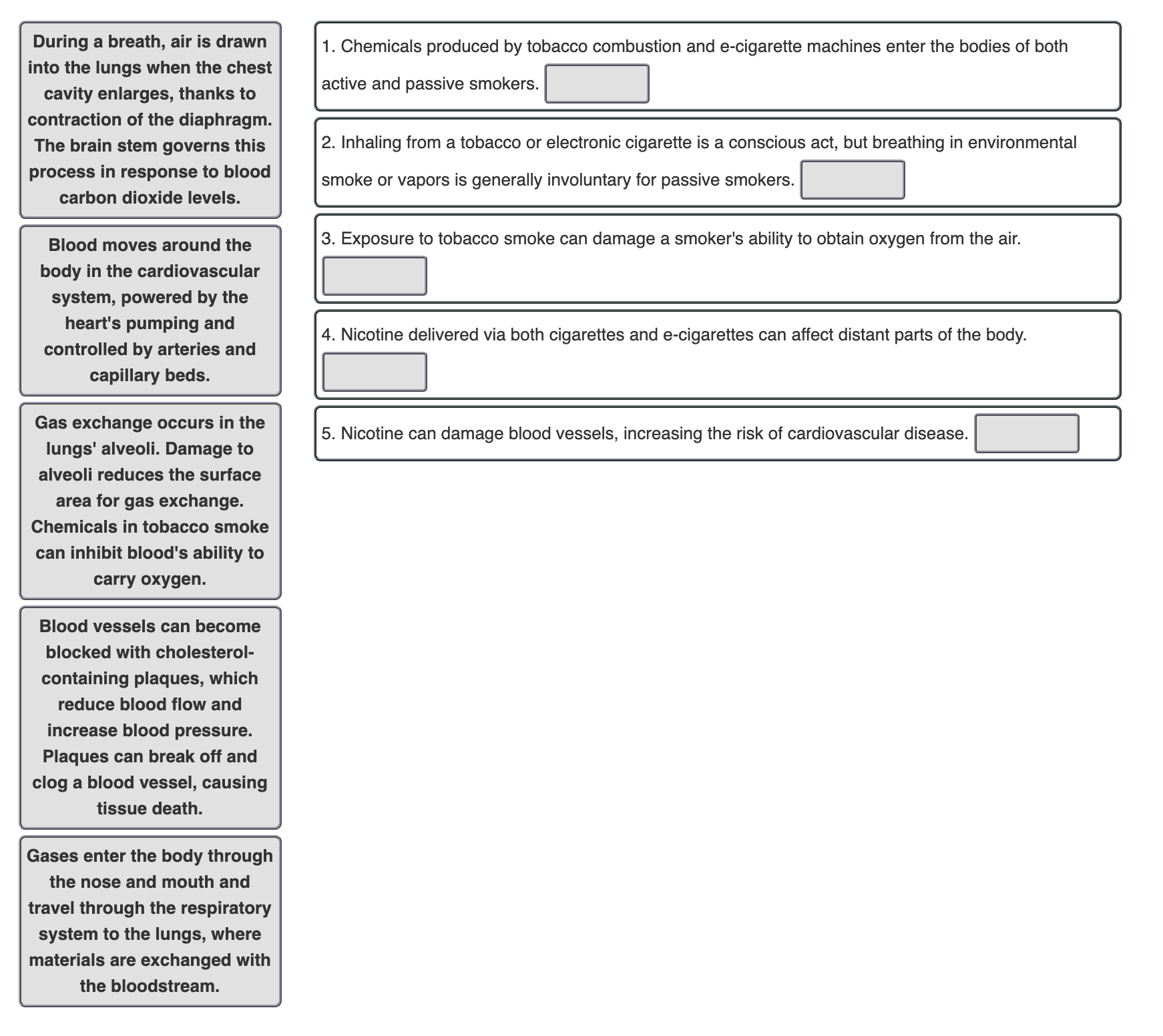 Chemicals produced by tobacco combustion and