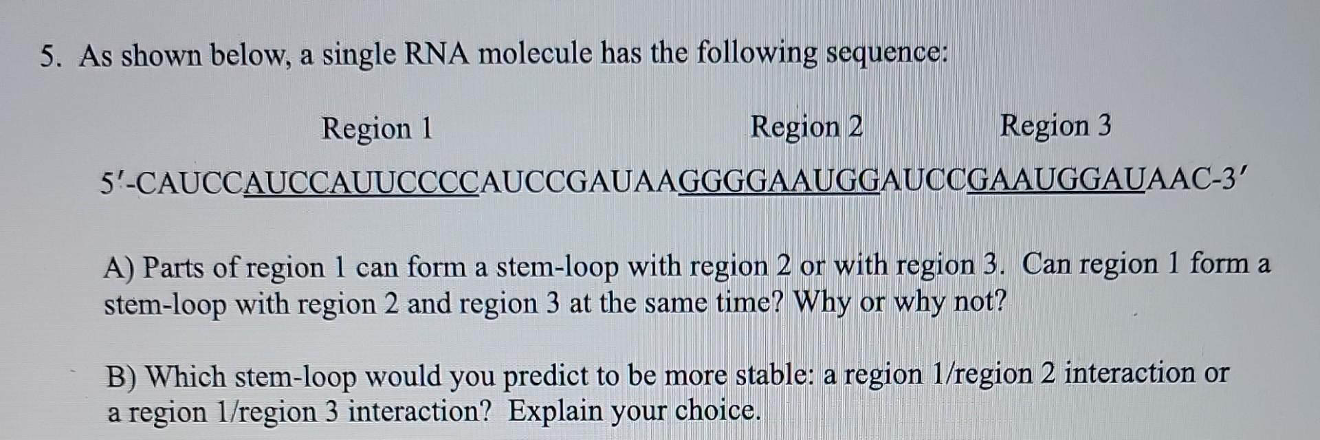 Solved 5. As shown below, a single RNA molecule has the | Chegg.com