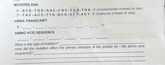 Solved MUTATED DNA 5' - A T G - T G G - A A C - C G C - T G | Chegg.com