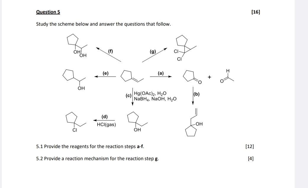 Solved Question 5[16]Study the scheme below and answer the | Chegg.com