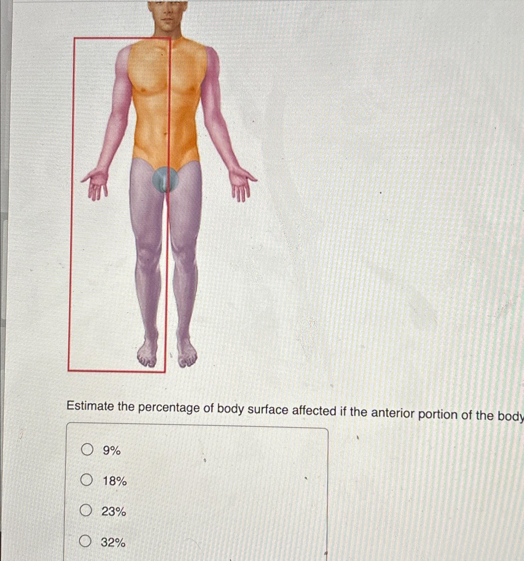 Solved Estimate the percentage of body surface affected if | Chegg.com