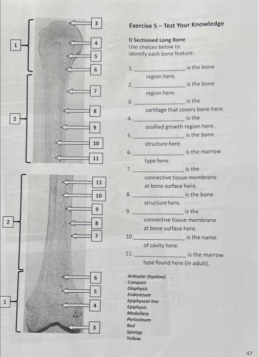 Solved Exercise 5 - Test Your Knowledge 1) Sectioned Long | Chegg.com