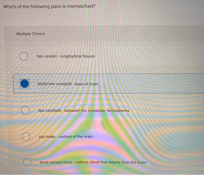 Which Of The Following Pairs Of Terms Is Mismatched Solved Which of the following pairs is mismatched? Multiple | Chegg.com