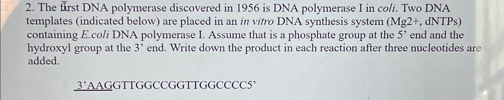 Solved The first DNA polymerase discovered in 1956 ﻿is DNA | Chegg.com