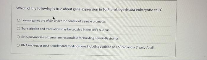 Solved Which of the following is true about gene expression | Chegg.com