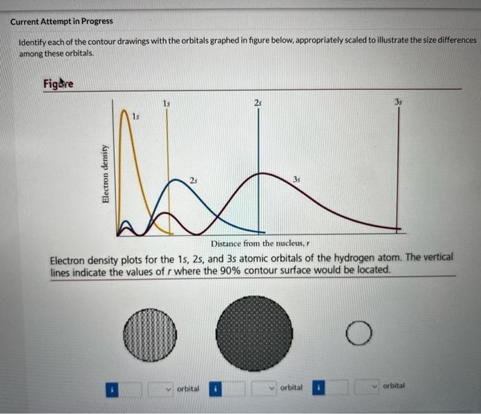 Solved Identify each of the contour drawings with the | Chegg.com