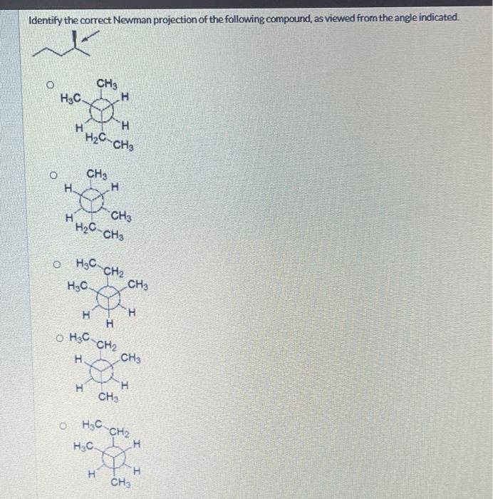 Solved Identify the correct Newman projection of the | Chegg.com