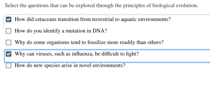 questions that can be explored through