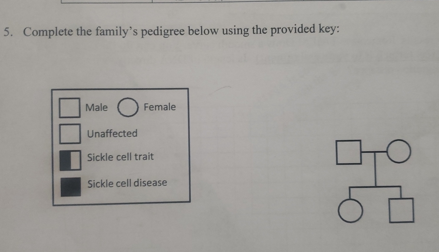 Solved Complete the family's pedigree below using the | Chegg.com