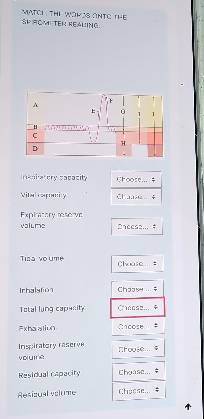 Solved MATCH THE WORDS ONTO THE SPIROMETER READING