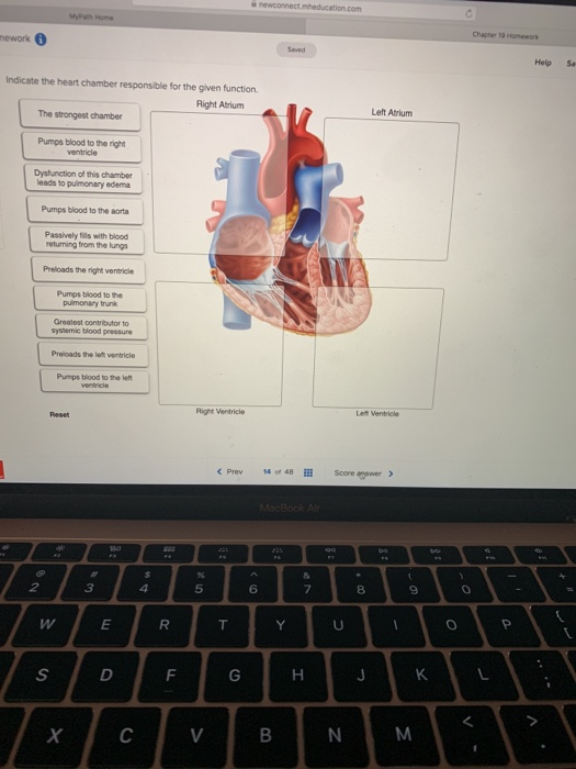 Best homework help websites picture