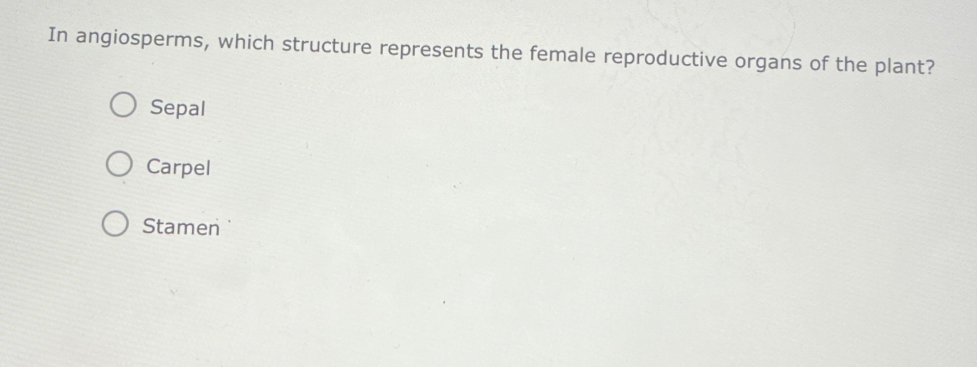Solved In angiosperms, which structure represents the female