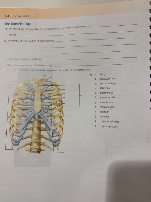 Solved A Key: 1. alvelolar processes 2. carotid canl 3. | Chegg.com