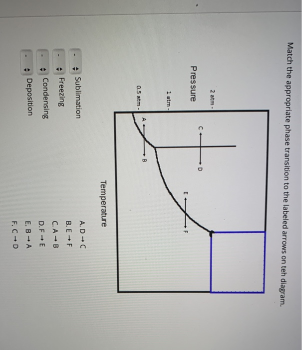 Solved Match the appropriate phase transition to the labeled | Chegg.com
